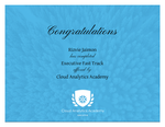 Cloud Analytics Academy - Executive Fast Track