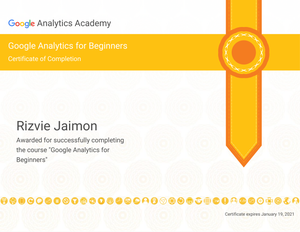 Google - Analytics for Beginners