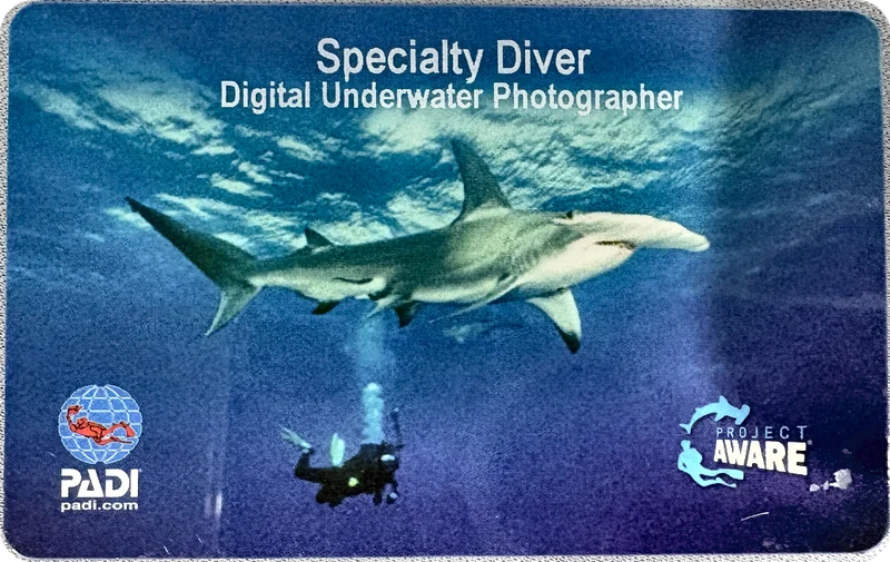 PADI Digital Underwater Photographer certification card